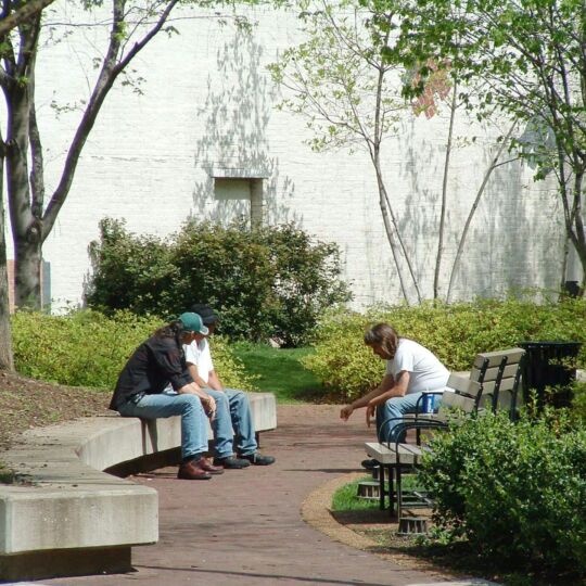 Beyond the Grid: Why Real Engagement Beats Polished Aesthetics on Instagram